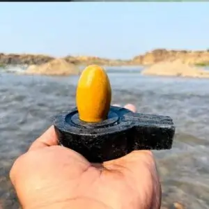 A person holding a yellow object, possibly a 2 Feet Narmadeshwar Shivling, with the price and brand mentioned.