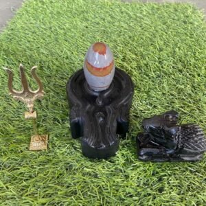 Statue of two bulls, one made of stone and the other made of shivansh Narmadeshwar shivling.